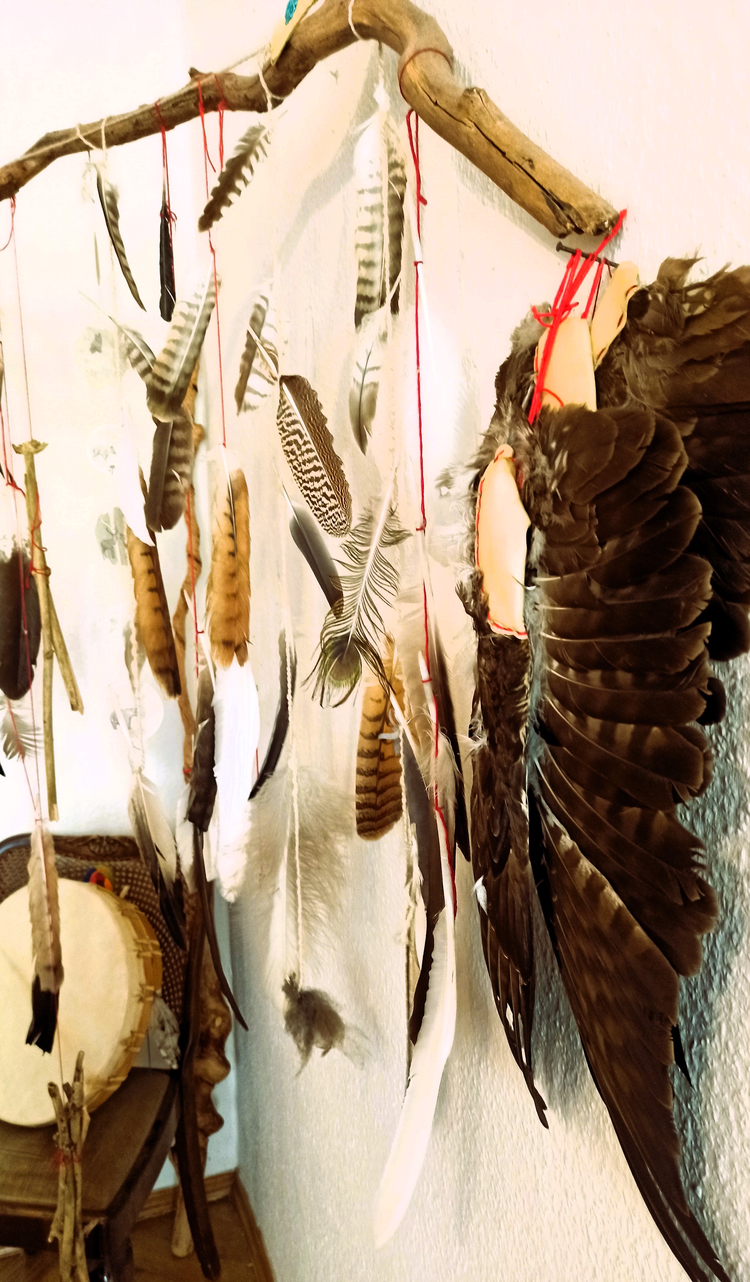 Senible-Begleitung-mit-Alternativen-Heilmethoden